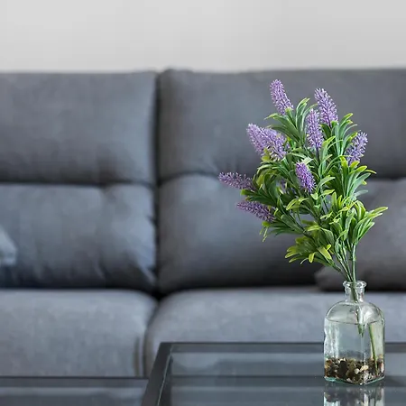 Apartmán En Lux